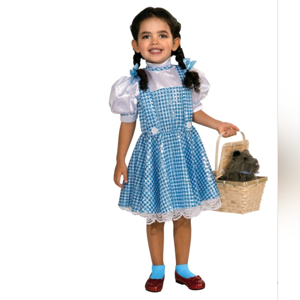 Dorothy Wizard of Oz costume small